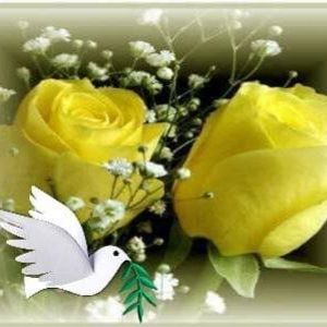 Meet your Posher, Glenda